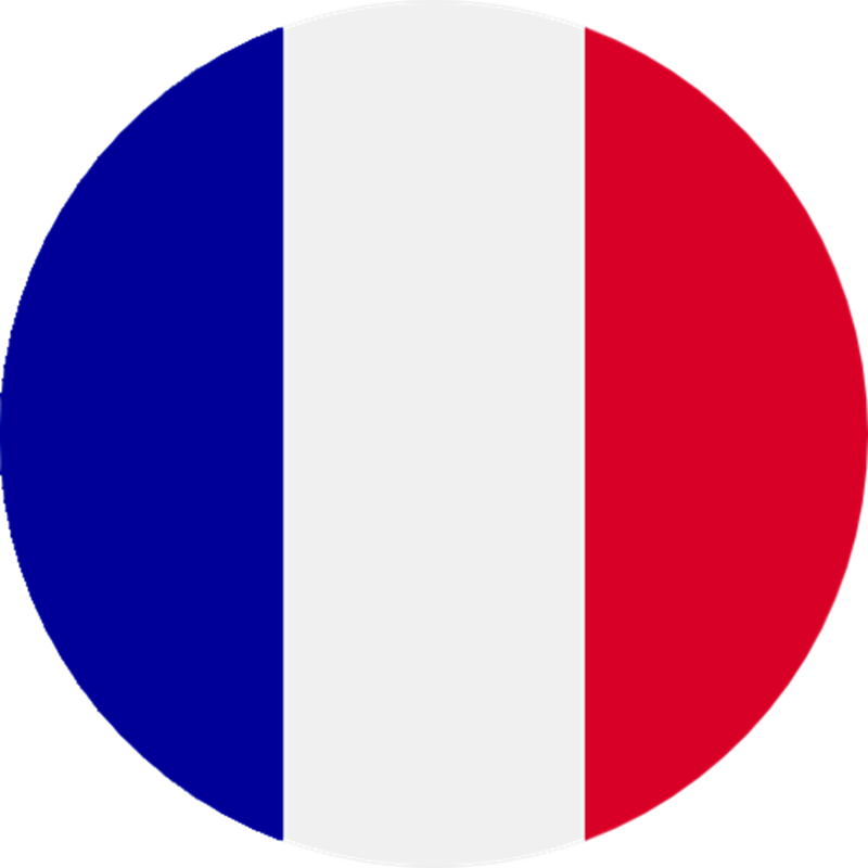 French flag